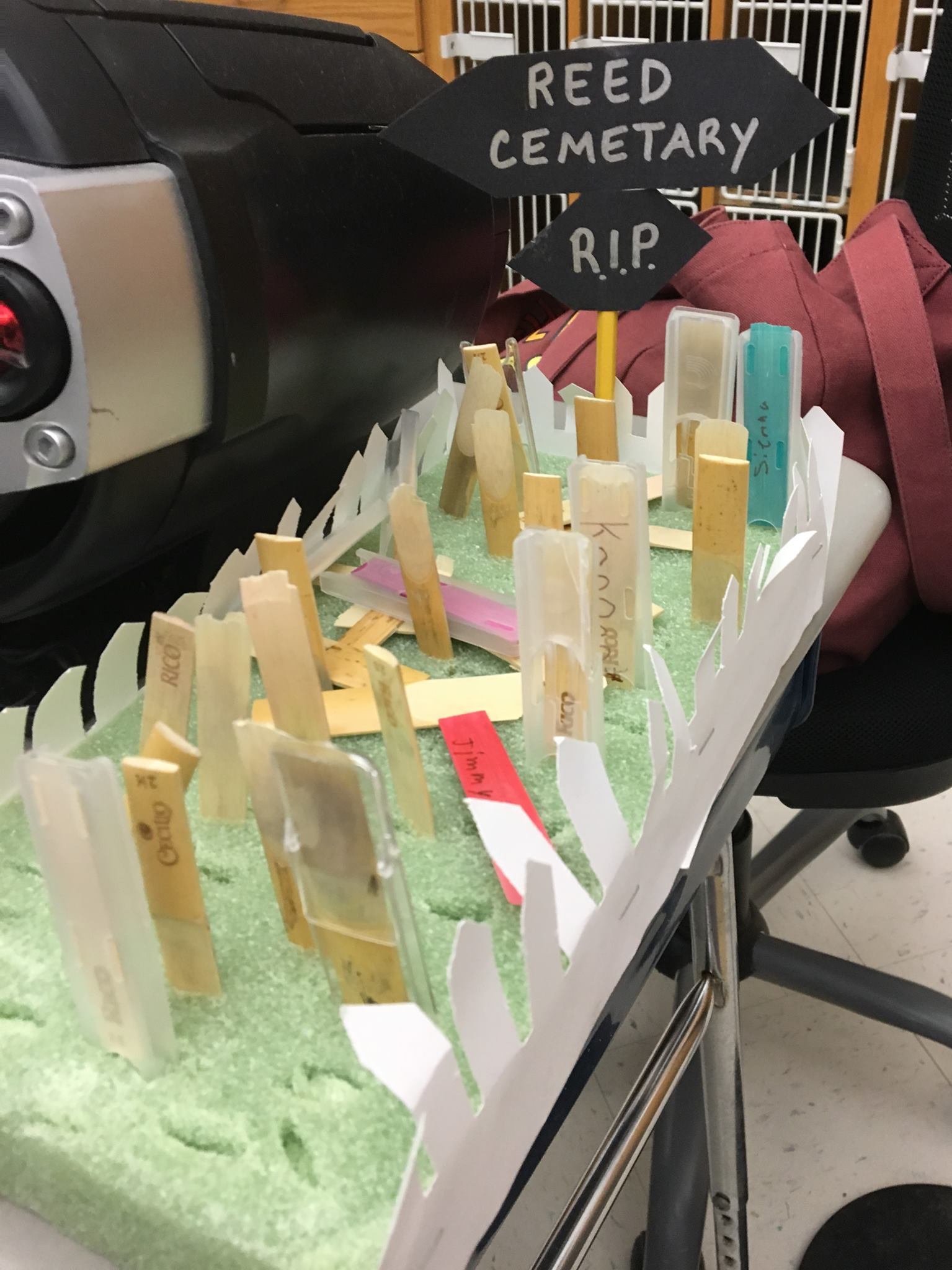 How do you Take Care of Your Reeds?